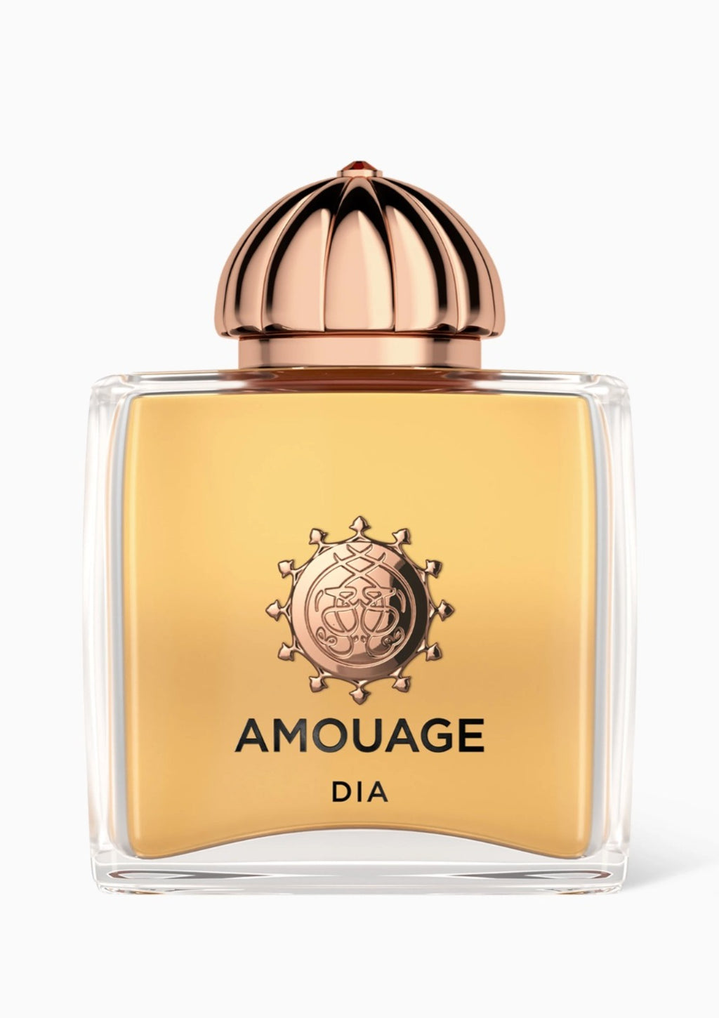 AMOUAGE DIA (W) EDP 100ML