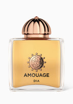 AMOUAGE DIA (W) EDP 100ML