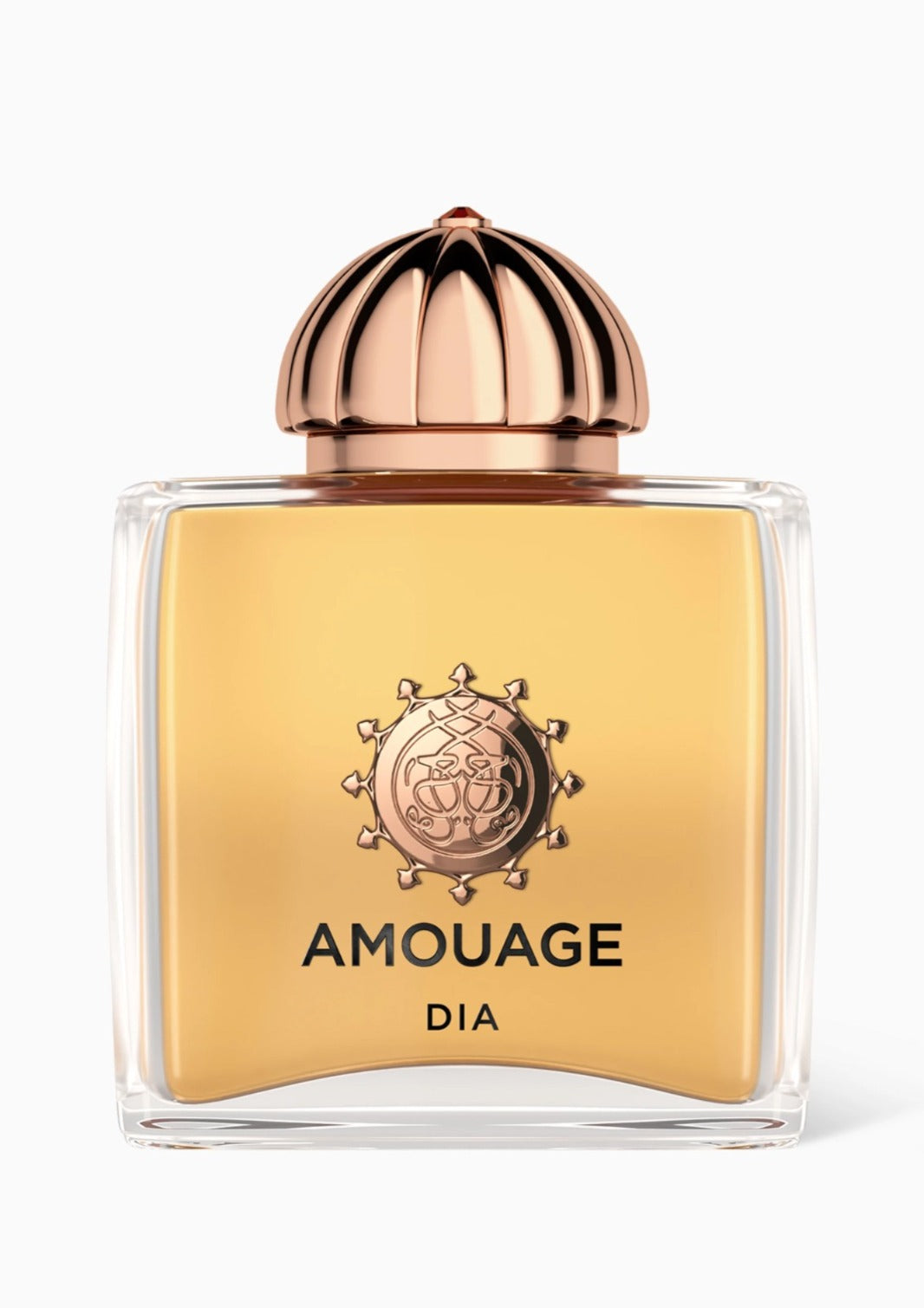 AMOUAGE DIA (W) EDP 100ML
