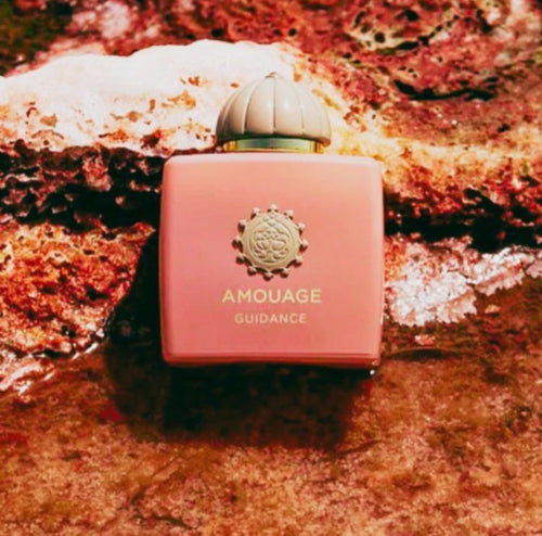 AMOUAGE GUIDANCE (U) EDP 100ML