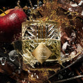 BY KILIAN APPLE BLEND ON THE ROCKS (U) EDP 50ML