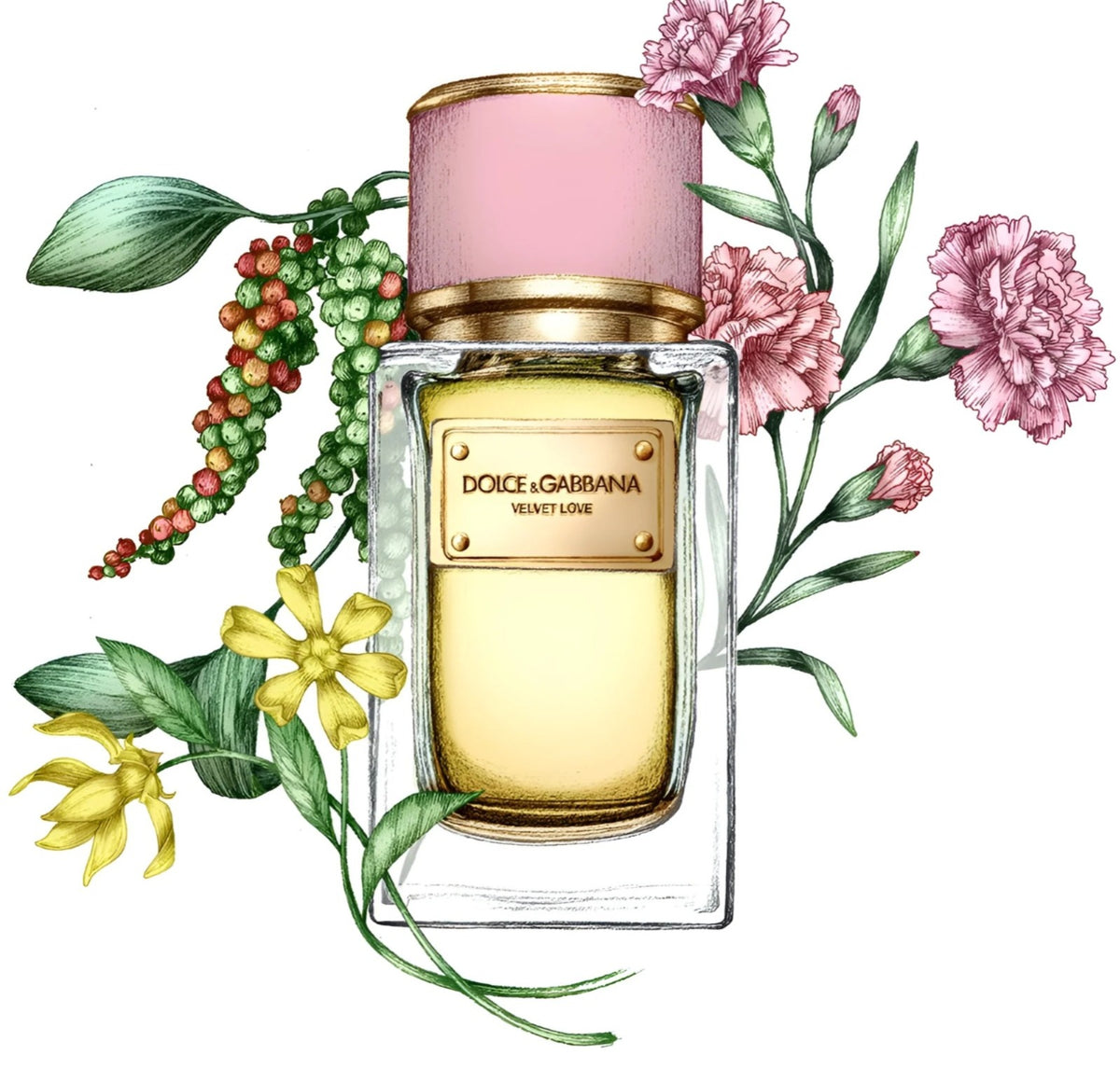 DOLCE & GABBANA VELVET LOVE (W) EDP 50ML